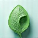 葉と魚のアイコン、環境保護団体を象徴