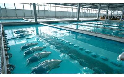 アジアの静かな海沿いにある最新のスマート養殖場