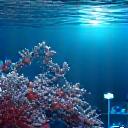 海洋生態系モニタリング