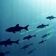 魚群探知機が魚群を捉え、行動パターンを記録している様子