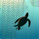 混獲された海洋生物がリリースされるイラスト