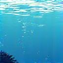 海に漂うプラスチックごみが減少している様子